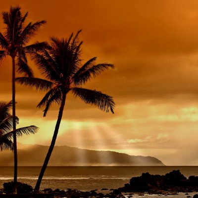 1920 x 1080 HD Wallpapers 2435